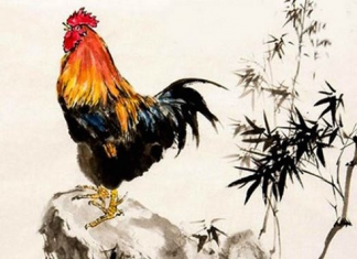 Quý Dậu nam 93 mệnh gì? hợp với màu nào trong phong thủy