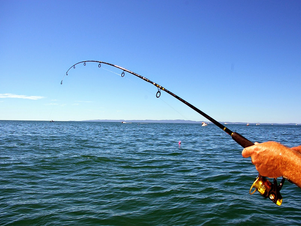 Mơ thấy cần câu cá dự báo trước điềm gì?