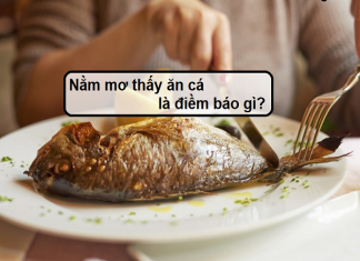 Mơ thấy ăn cá gửi tới điềm báo gì? Gợi ý những con số may mắn nào?