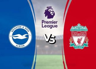 Nhận định Brighton vs Liverpool - 19h30, 28/11, Ngoại Hạng Anh