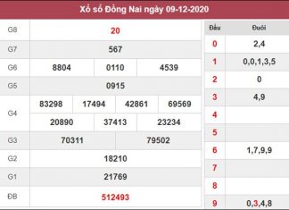 Dự đoán XSDNA 16/12/2020 chốt lô số đẹp Đồng Nai thứ 4