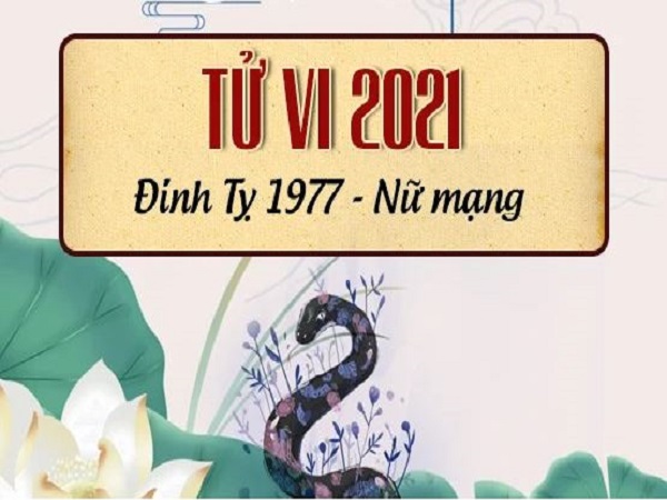 Tử vi tuổi Đinh Tị năm 2021 nữ mạng