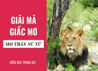 Nằm mơ thấy sư tử đánh con gì ăn chắc, có điềm báo gì