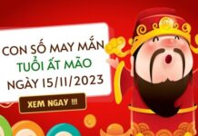 Con số may mắn của tuổi Ất Mão hôm nay ngày 15/11/2023