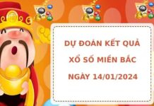 Dự đoán kết quả XSMB ngày 14/1/2024 hôm nay chính xác