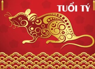 Dự đoán số may mắn tuổi Tý hôm nay 10/7/2024