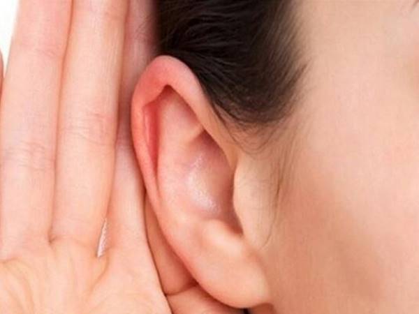 Tướng tai chuột là gì? Tướng tai chuột là gì?