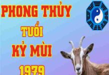 vật phẩm phong thủy tuổi kỷ mùi