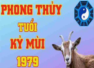 vật phẩm phong thủy tuổi kỷ mùi