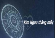 cung Kim Ngưu sinh tháng mấy