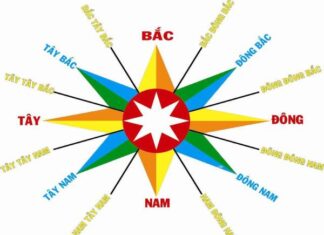 mệnh thổ hợp hướng nào