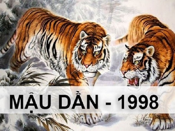 Tổng quan về nam tuổi Dần 1998