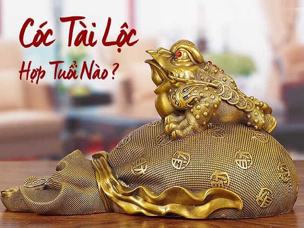 Cóc ngậm tiền hợp tuổi nào trong 12 con giáp?