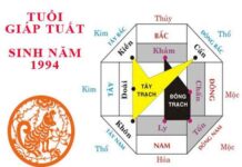 1994 hợp hướng nào làm nhà, hướng nào tốt cho công việc