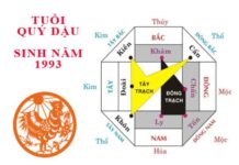 Hướng hợp tuổi 1993 nam và nữ trong cuộc sống công việc