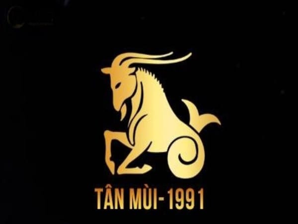 Tổng quan về người sinh năm 1991