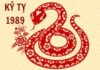 Nữ 1989 hợp hướng nào trong làm ăn và chọn hướng nhà