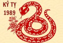 Nữ 1989 hợp hướng nào trong làm ăn và chọn hướng nhà