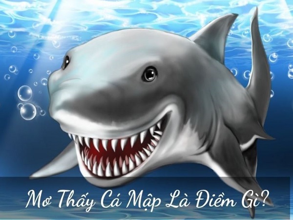 Nằm mơ thấy cá mập là điềm gì?